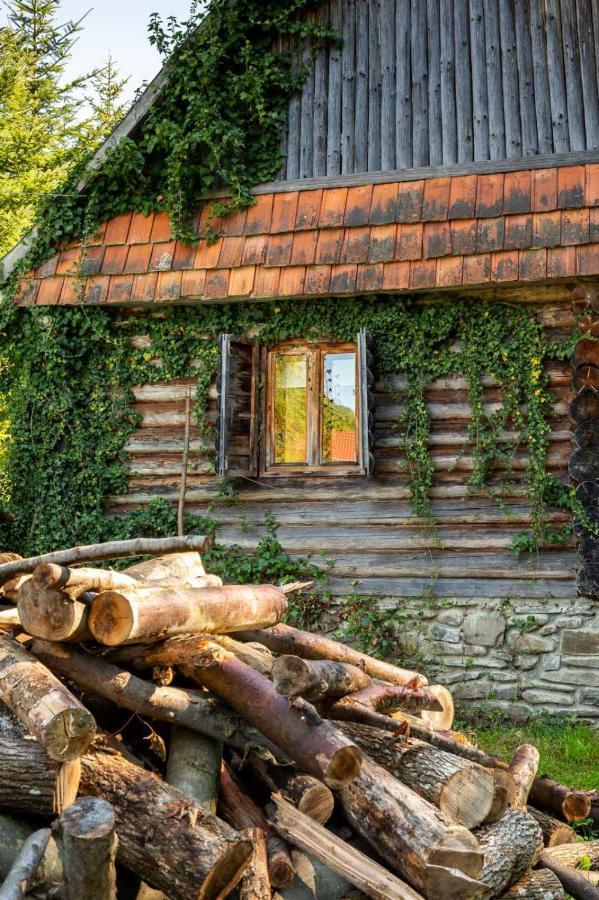 Villa Хатина Біля Потока Lumshory Esterno foto