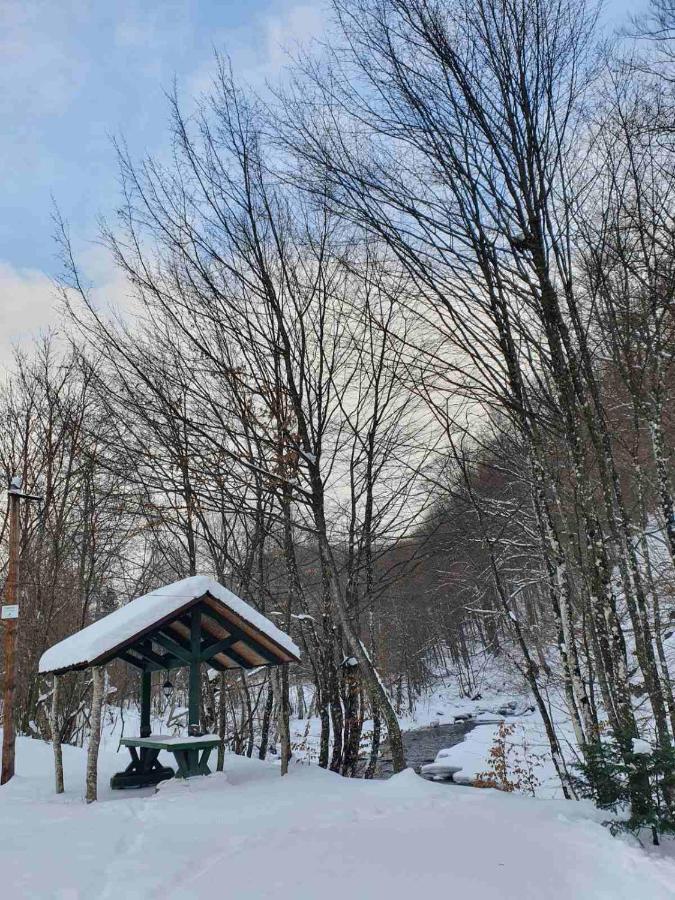 Villa Хатина Біля Потока Lumshory Esterno foto