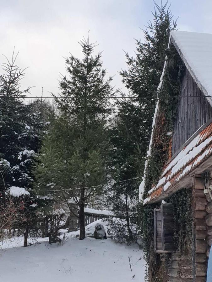 Villa Хатина Біля Потока Lumshory Esterno foto